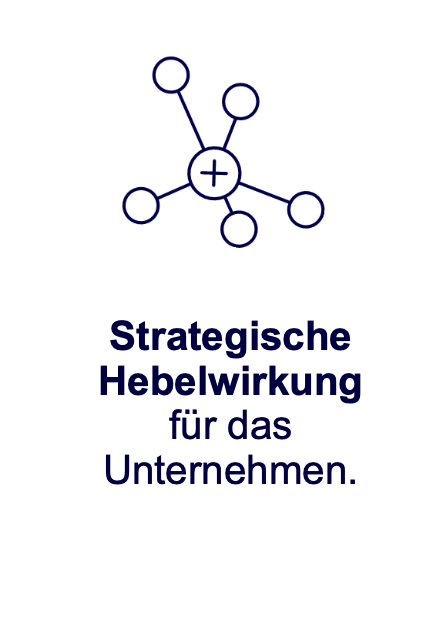 Strategische Hebelwirkung für das Unternehmen.